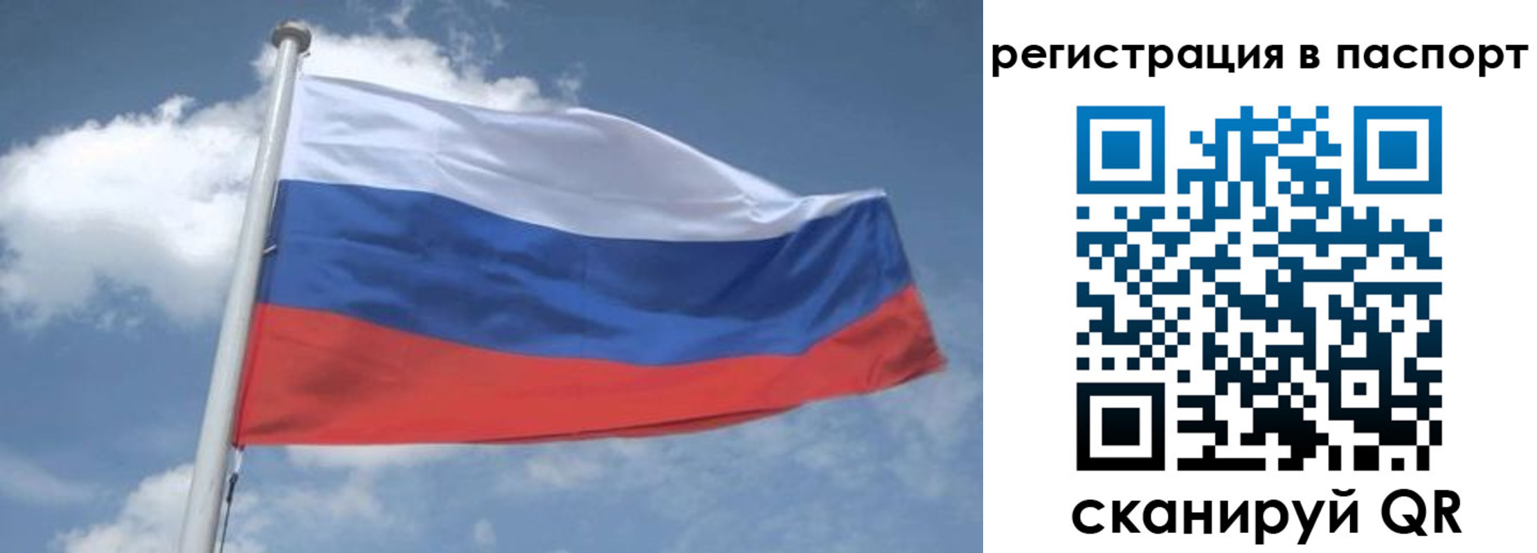 временная регистрация надежно в Видном